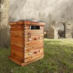 10 Frame Bee Hive Kit with Acrylic Windows