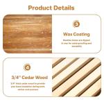 10 Frame Bee Hive Kit with Acrylic Windows