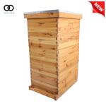 10-Frame Beeswax Coated Beehive Starter Kit