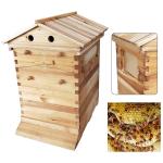 7-Piece Cedar Honey Beehive Frames Set