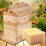 Cedar Wood Beehive Set with 7 Honey Frames
