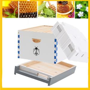 10 Frame Beehive Kit with Brood Box and Frames
