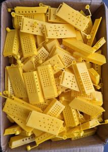 20 Yellow Queen Bee Catcher Trap Set