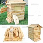 Auto Bee Hive Brood Box Set with 7 Frames