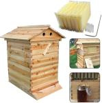 Auto Bee Hive Brood Box Set with 7 Frames