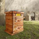10 Frame Beehive Set with Beeswax-Coated Boxes