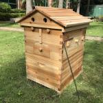 Wooden Beehive Complete Set with 7 Frames