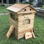 Wooden Beehive Complete Set with 7 Frames