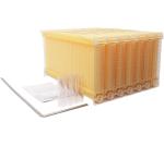 Wooden Beehive Complete Set with 7 Frames