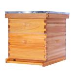 POLLIBEE 10 Frame Beehive Starter Kit with Beeswax