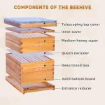 POLLIBEE 10 Frame Beehive Starter Kit with Beeswax