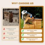 POLLIBEE 10 Frame Beehive Starter Kit with Beeswax