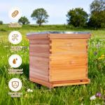 POLLIBEE 10 Frame Beehive Starter Kit with Beeswax