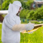 Ventilated Beekeeping Jacket with Gloves and Veil