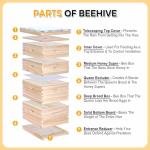 BeeCastle Complete Bee Hive Starter Kit (10-Frame)