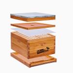 10-Frame Beehive Starter Kit with Wax Coating
