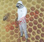Pro's Choice Beekeeping Suit with Gloves