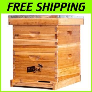 Beginner Beekeeping Starter Kit with 10 Frames