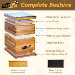Beginner Beekeeping Starter Kit with 10 Frames