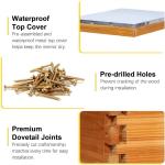 Beginner Beekeeping Starter Kit with 10 Frames