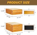 Beginner Beekeeping Starter Kit with 10 Frames