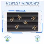 Beekeeping Starter Kit with Smoker and Tools