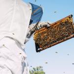 Beekeeping Suit with Gloves and Veil Hood