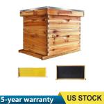 Langstroth Beehive Starter Kit with 20 Frames