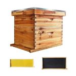 Langstroth Beehive Starter Kit with 20 Frames