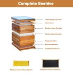 Langstroth Beehive Starter Kit with 20 Frames