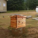 Langstroth Beehive Starter Kit with 20 Frames