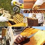 Beekeeping Equipment Set with Gloves and Tote