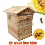 Bee Hive House Set with 7 Free Honey Frames