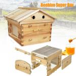Bee Hive House Set with 7 Free Honey Frames