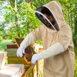 Ventilated Beekeeping Suit with Gloves and Hood