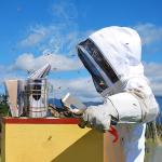 Beekeeping Supplies Set: Suit and Smoker Included