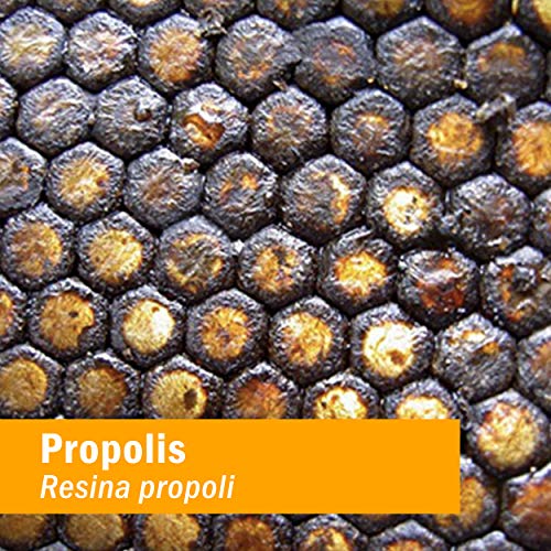Beekeeping Immune Boost: Herb Pharm Propolis Extract