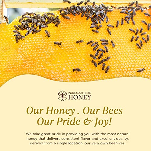 3lb Pure Southern Gallberry Honey - Authentic USA Honey