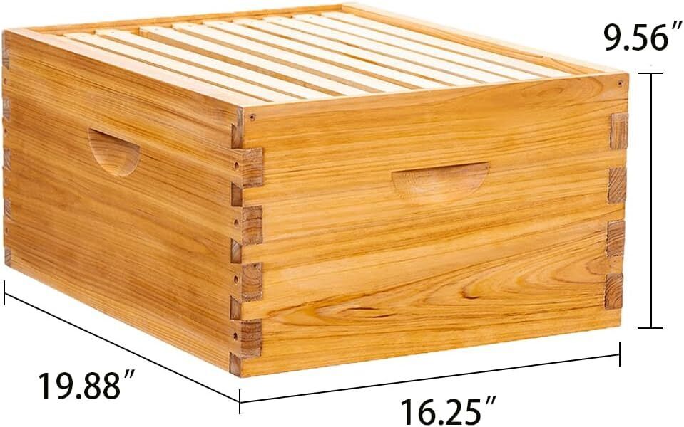 Cedar 10-Frame Beehive Kit with Tools & Veil