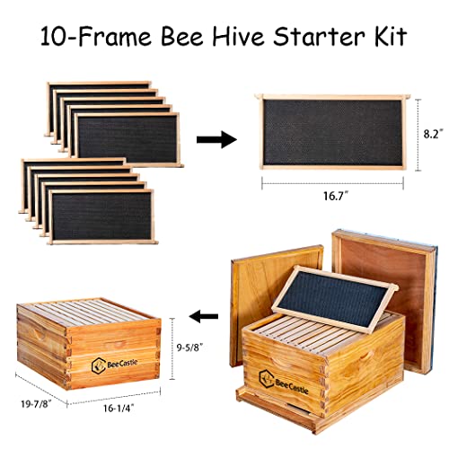 BeeCastle Beekeeping Starter Kit - 10-Frame Hives