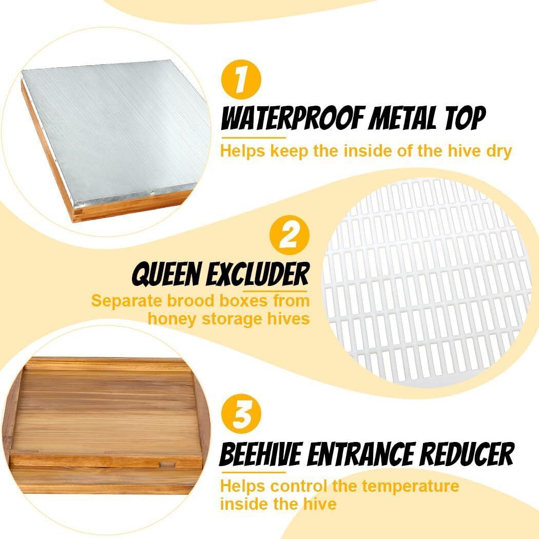Cedar 10-Frame Beehive Kit with Tools & Veil