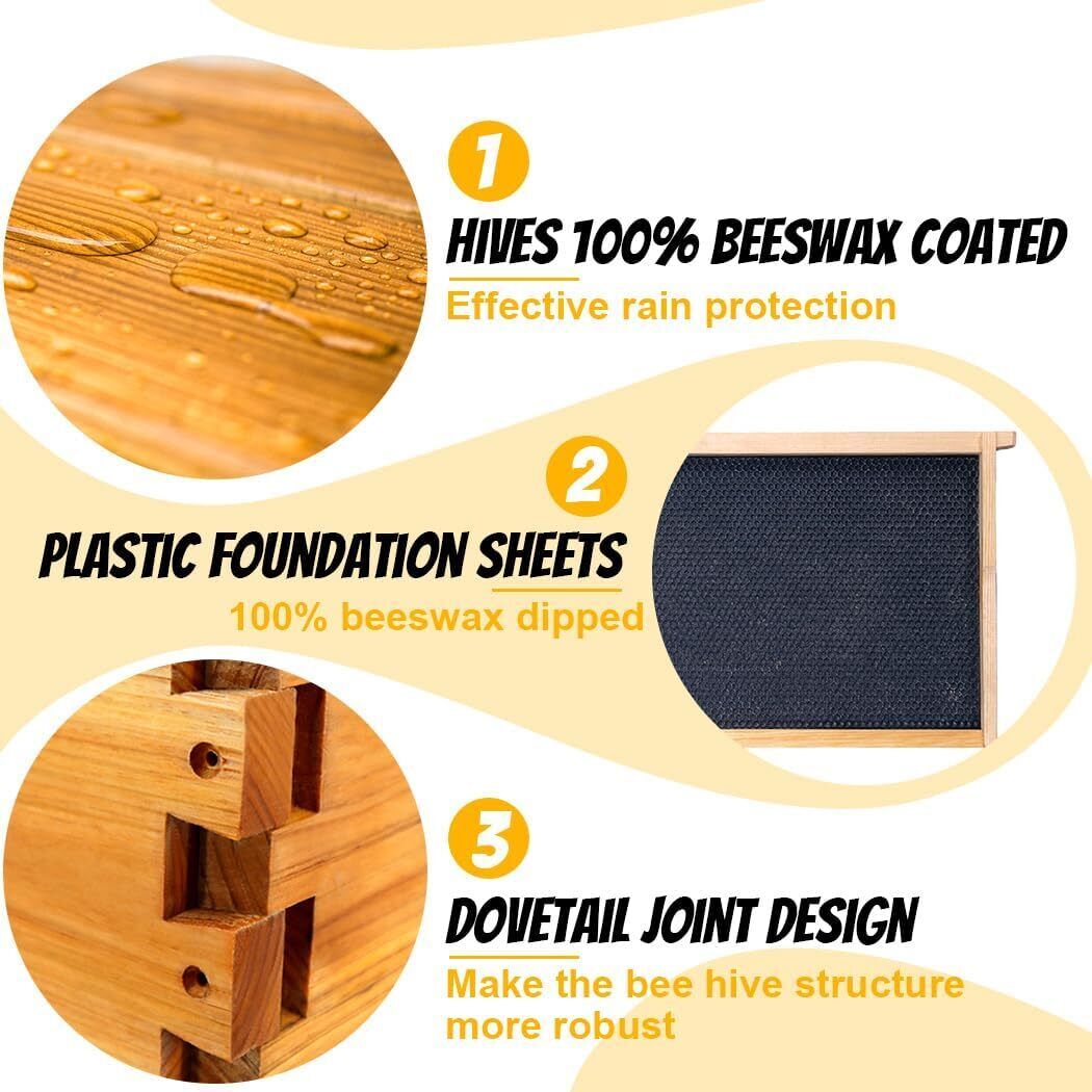 Cedar 10-Frame Beehive Kit with Tools & Veil