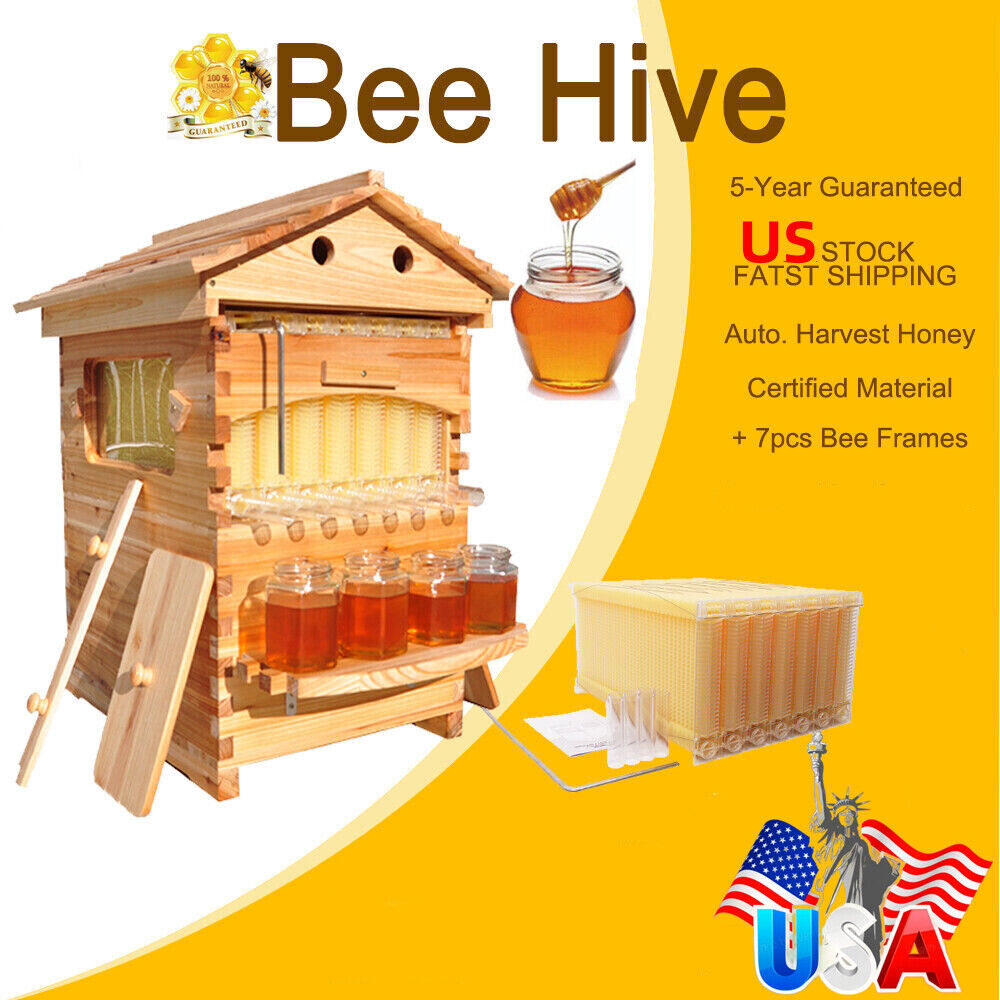 7PCS Auto Flow Beehive Set + Cedarwood Brood Box