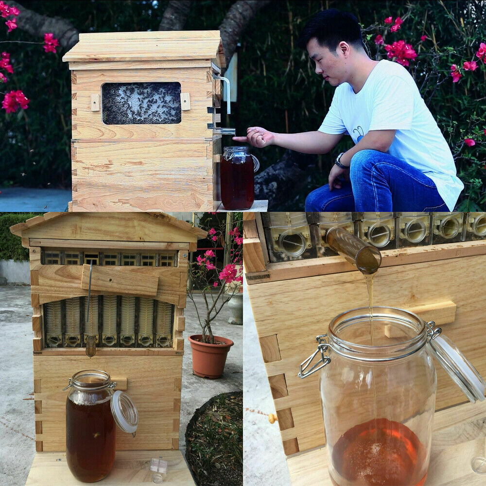7PCS Auto Flow Beehive Set + Cedarwood Brood Box