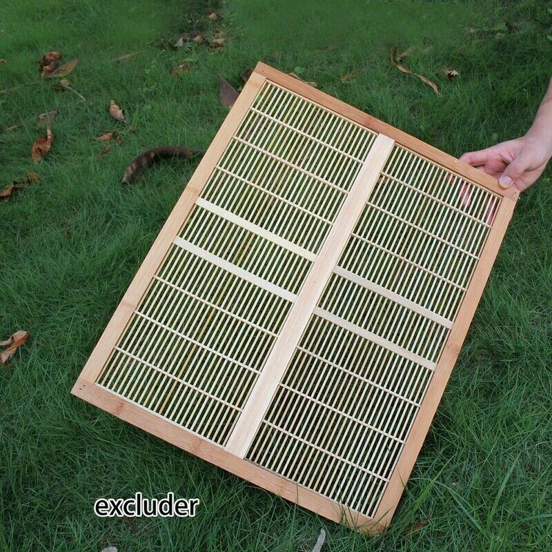 7PCS Auto Flow Beehive Set + Cedarwood Brood Box