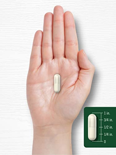Carlyle Royal Jelly Capsule | 2500mg | 120 Count | Traditional Supplement