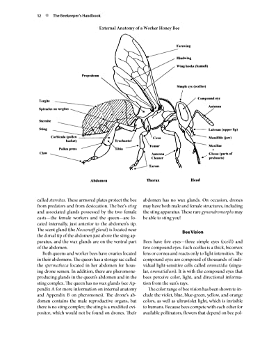 Beekeeping Handbook - Expert Guide for Beekeepers