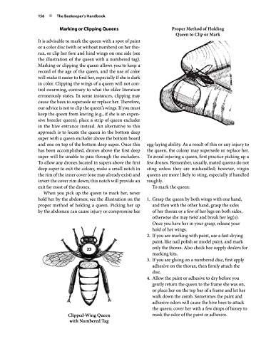 Beekeeping Handbook - Expert Guide for Beekeepers
