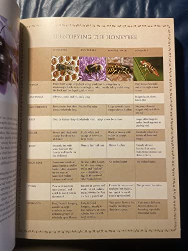 Beekeeper's Bible: Bees, Honey, Recipes & Home Applications