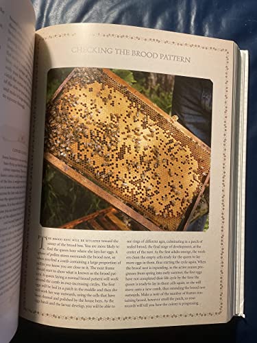 Beekeeper's Bible: Bees, Honey, Recipes & Home Applications